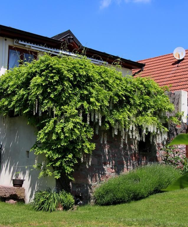 Villa Les 3 Ceps Bergholtz Exterior foto